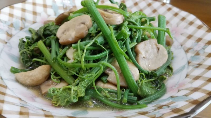龍鬚菜炒蘑菇