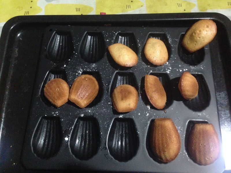 野桔瑪德蓮