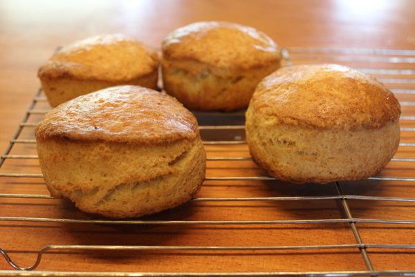 比司吉Biscuits