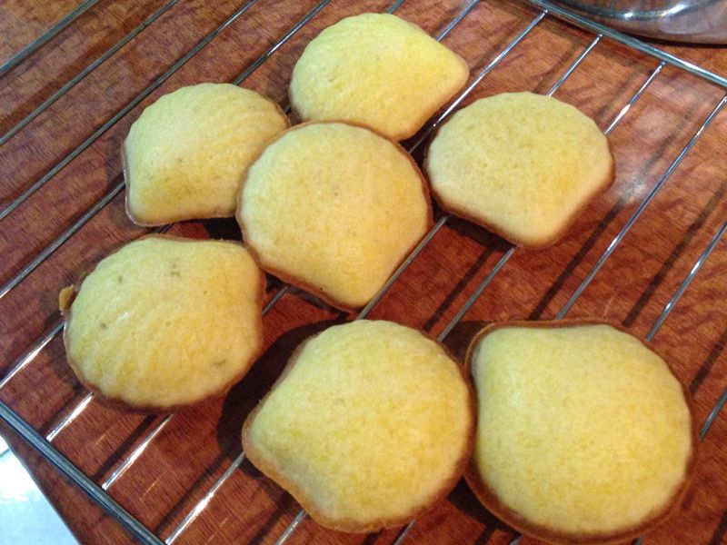 檸檬🍋瑪德蓮