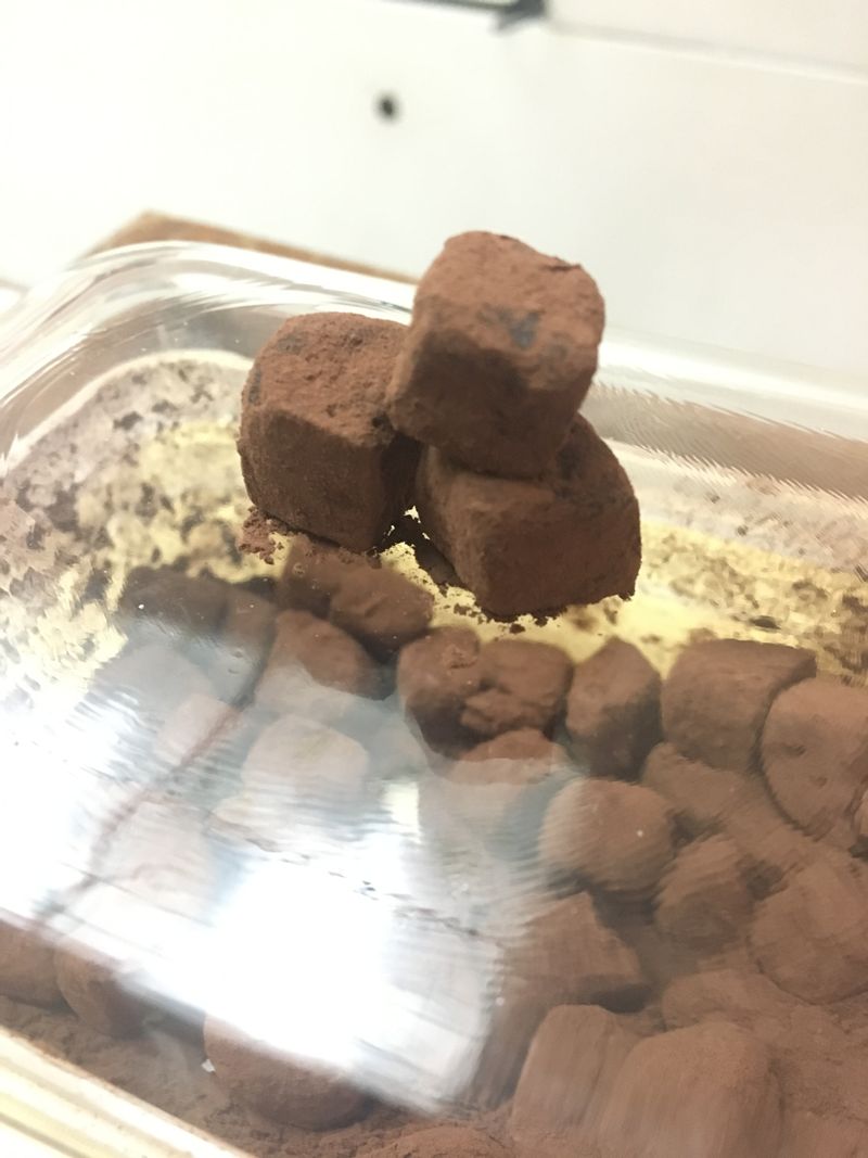 妤生巧克力