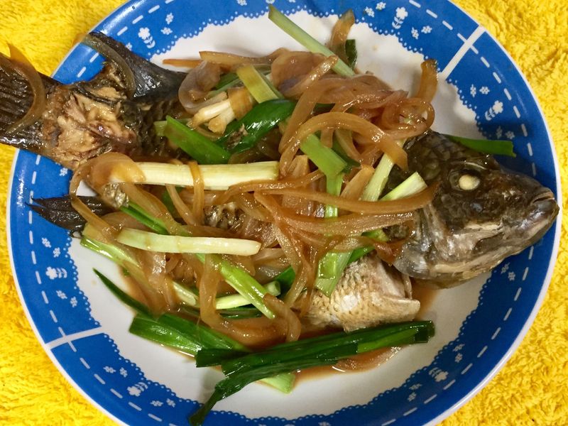簡易醬糖蔥燒魚