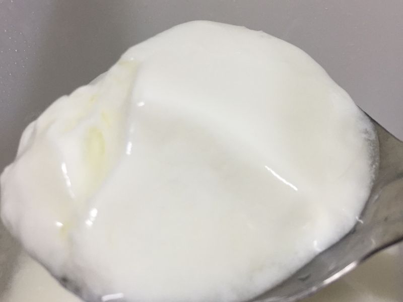 自製專業優格