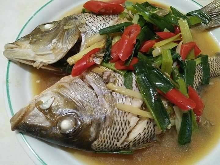紅燒青嘴龍占魚【澎湖野生水產】