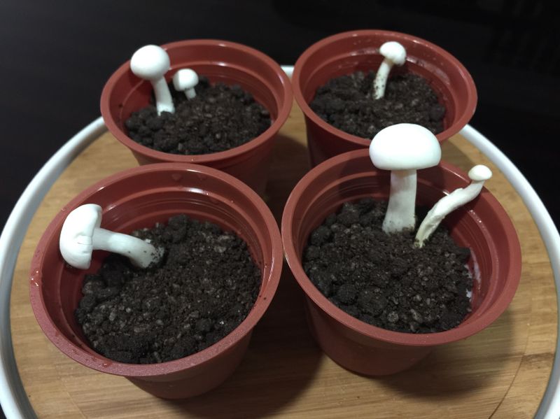 棉花糖布丁