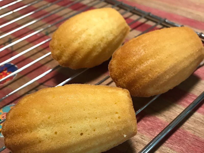 瑪德蓮～