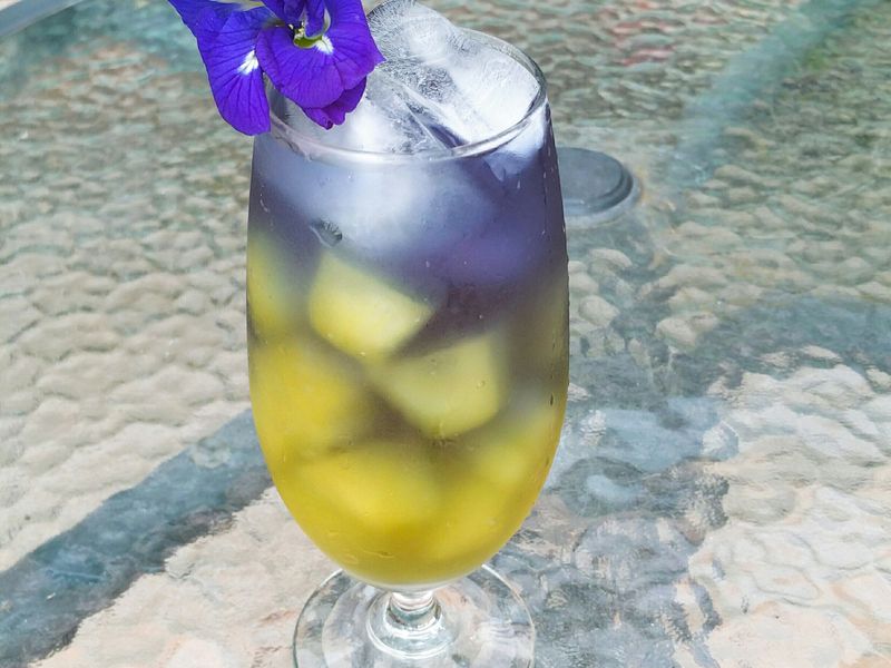 蝶豆花抹茶飲