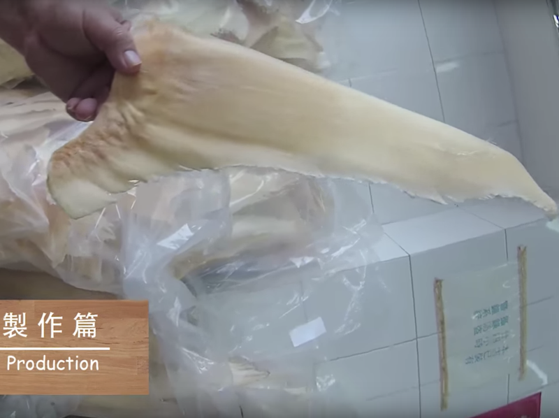 【海味系列】魚翅浸發篇