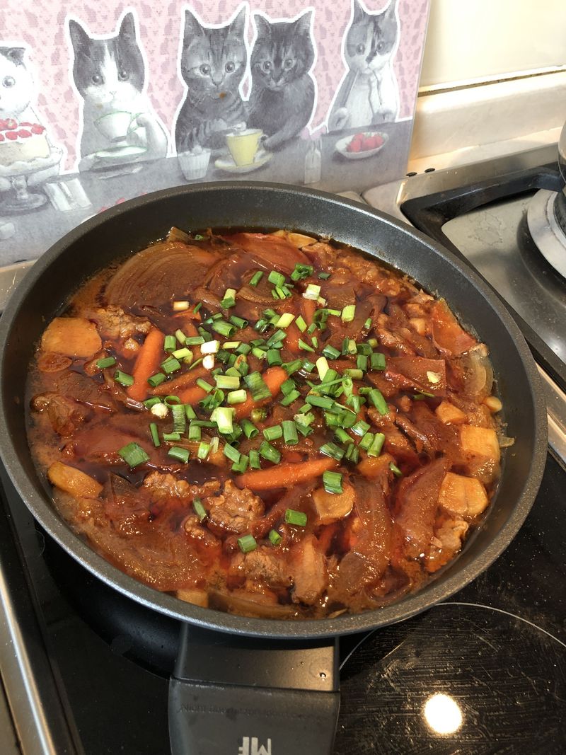 蕃茄紅燒牛肉