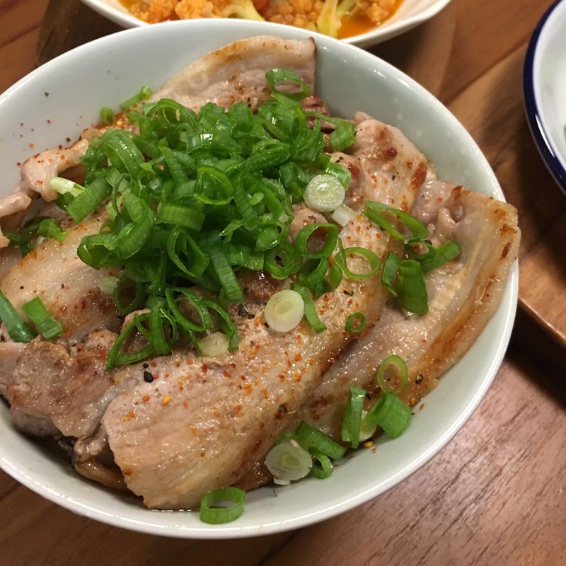 蔥花豬肉蓋飯