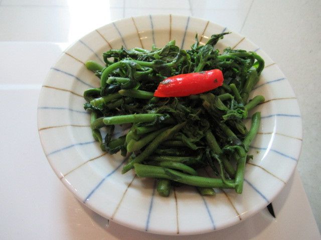 日式煮蝦醬香椿