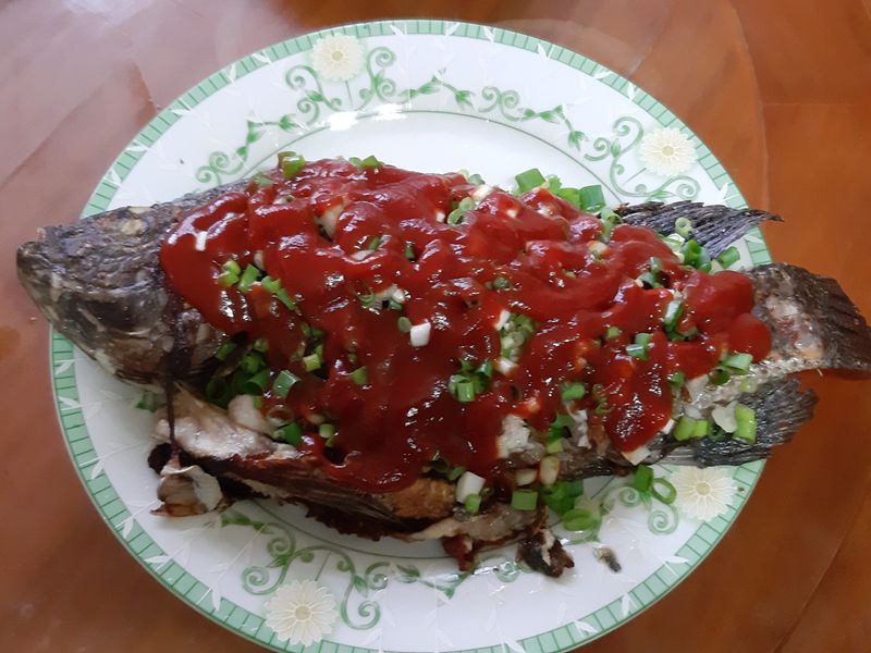 煎吳郭魚