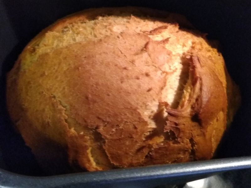 Brioche bread (麵包機)