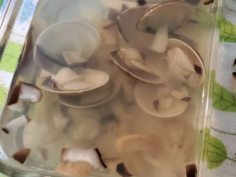 【寶寶旅行中】副食:蛤蜊湯
