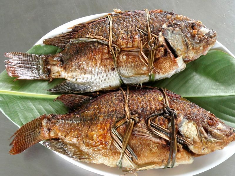 荷包魚