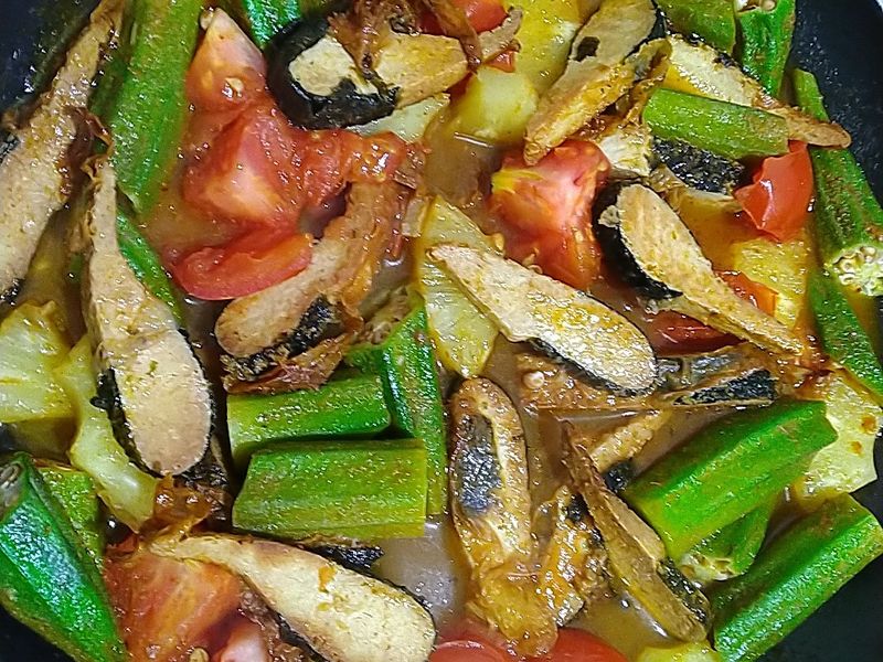 冬炎素魚