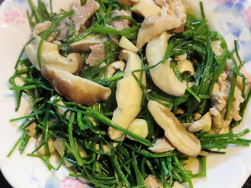 水蓮炒肉絲