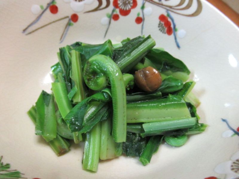 樹子山蘇
