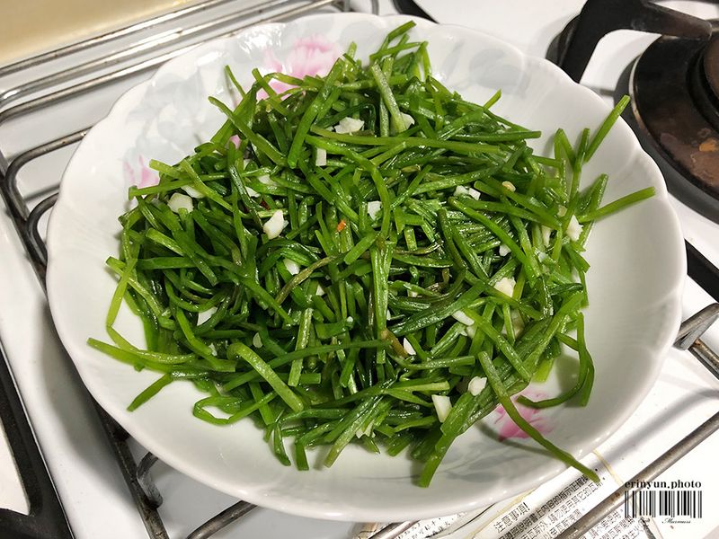 蒜香水蓮