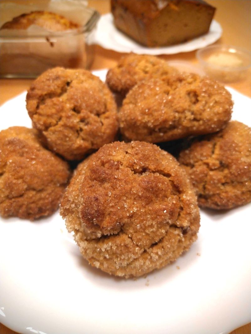 花生味噌餅乾 甜鹹鮮的酷滋味好吃不奇怪