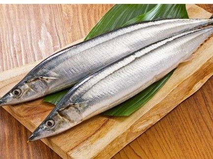 乾煎秋刀魚