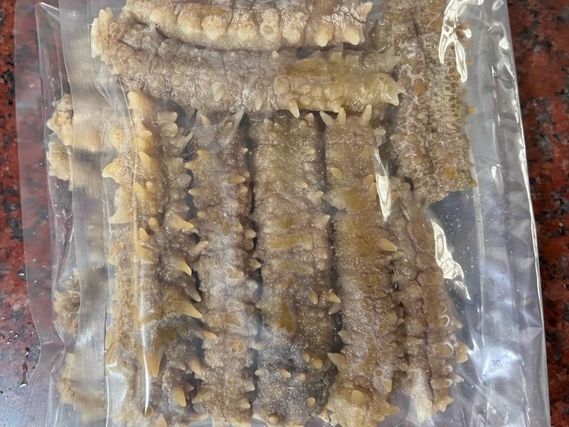 發泡海蔘