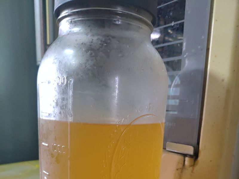 薏仁甘酒 ( 打漿的薏仁)