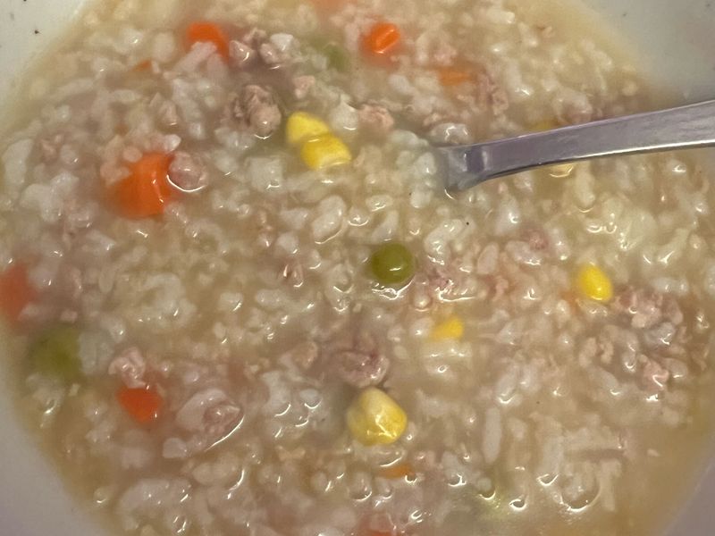 冰箱豬肉粥