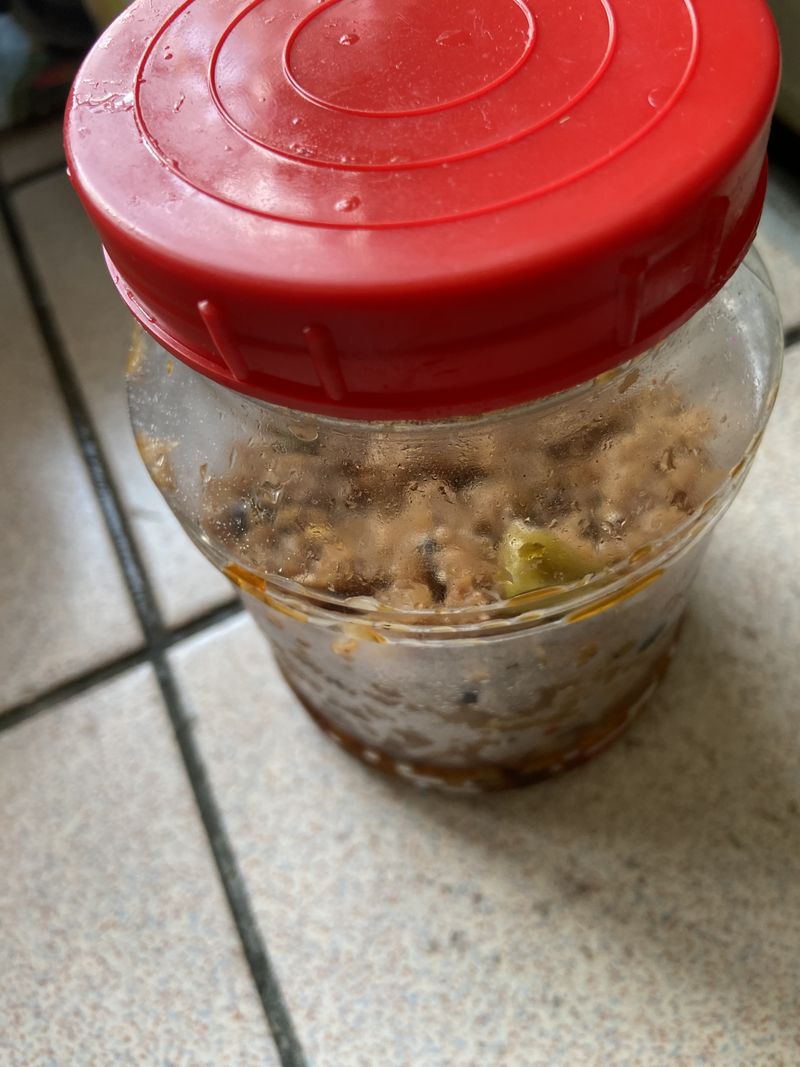 辣菜脯