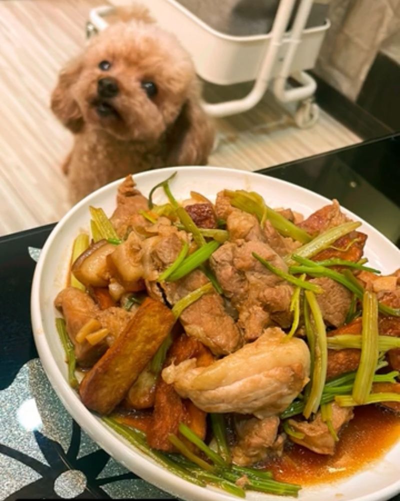豬五花炒豆乾