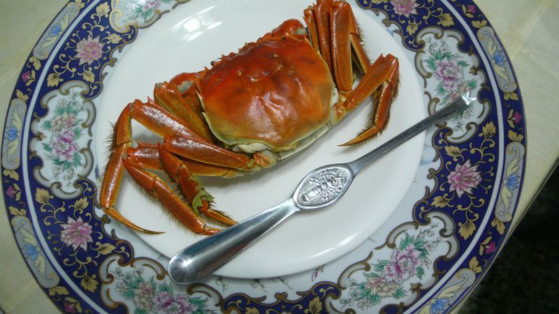 lanni 大閘蟹