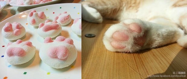 棉花糖DIY 食譜 貓肉球棉花糖 貓咪
