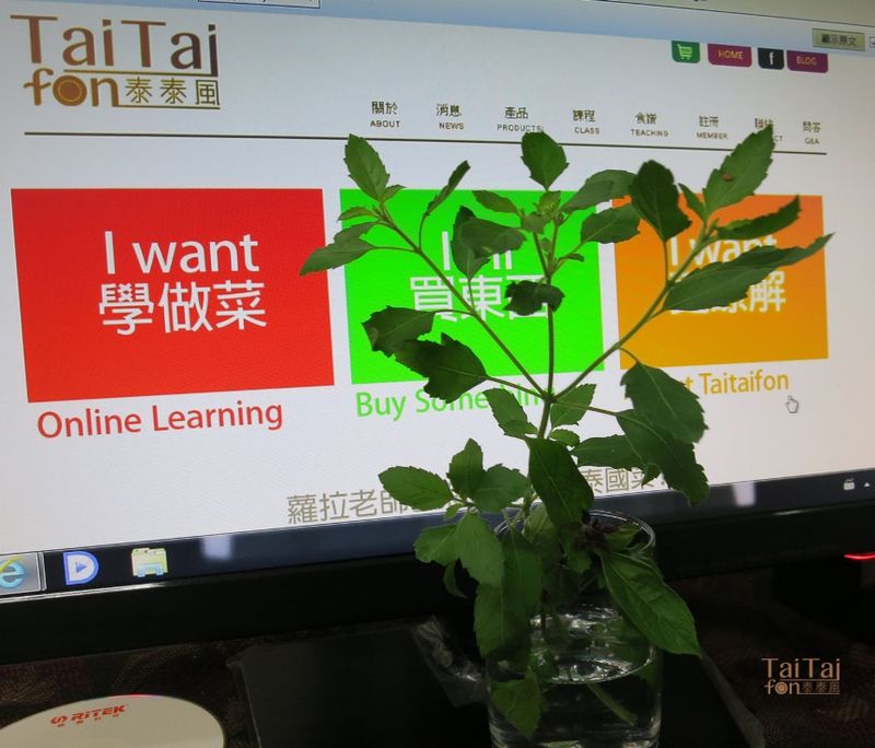 ♦泰泰風♦到底什麼是打拋肉什麼是打拋葉?