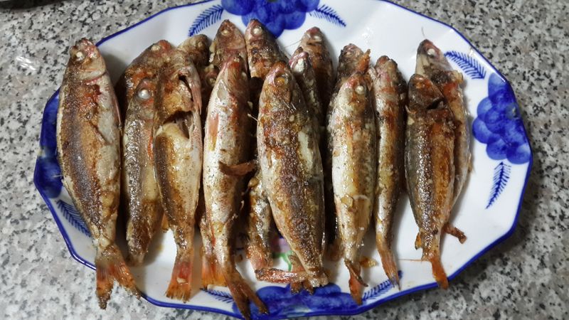 香蒜紅魚