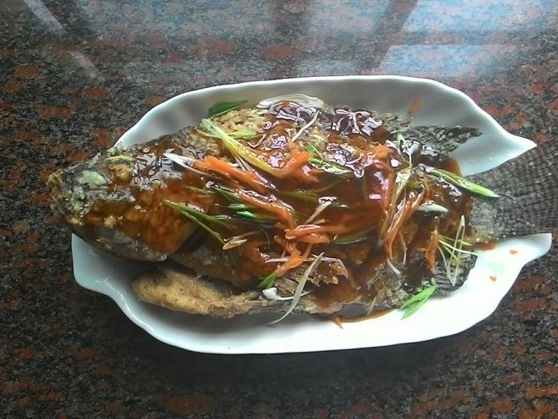 酥炸鯛魚醬燒~雲端冰箱鮮食家