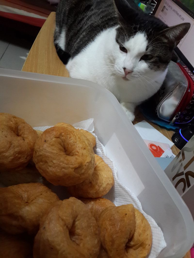 番茄貝果